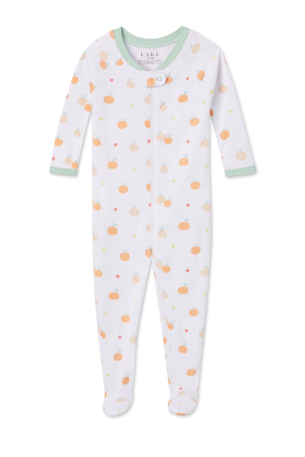 Baby Sleeper in Pumpkin Patch - Featured Image 4